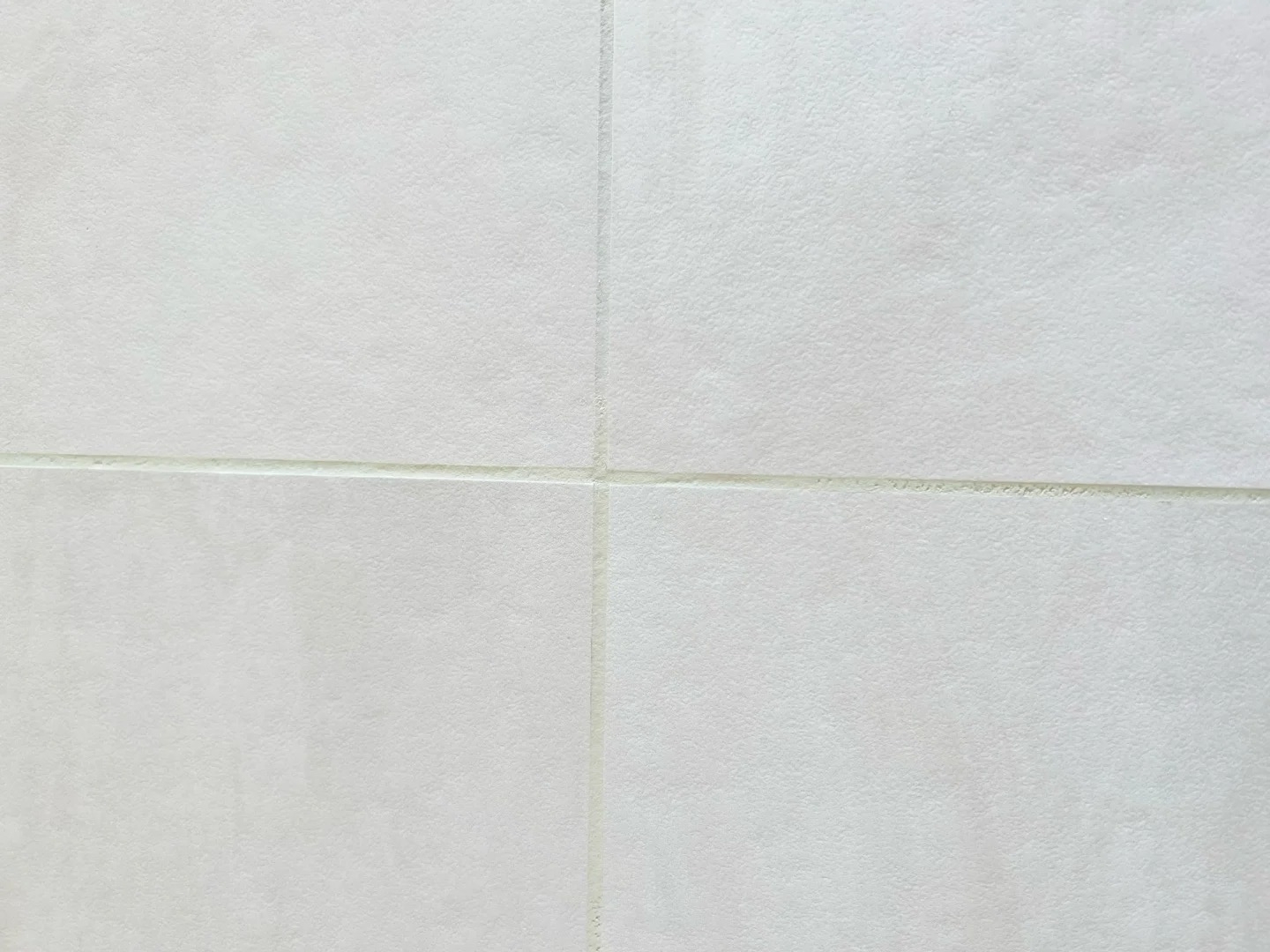 26068549.jpg 26068549.jpg